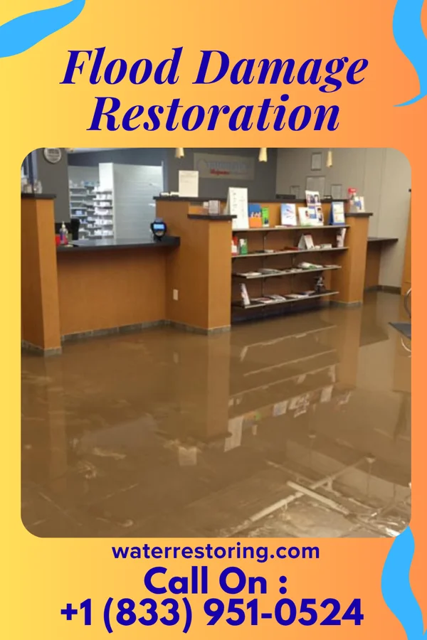 Flood Damage Restoration in Montpelier, LA